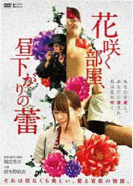 观看画质与设备适配